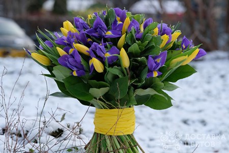 Букет желтых тюльпанов с ирисами "Солнечные часы"
